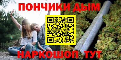2c-b Кингисепп