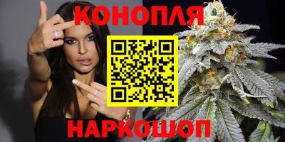2c-b Кингисепп