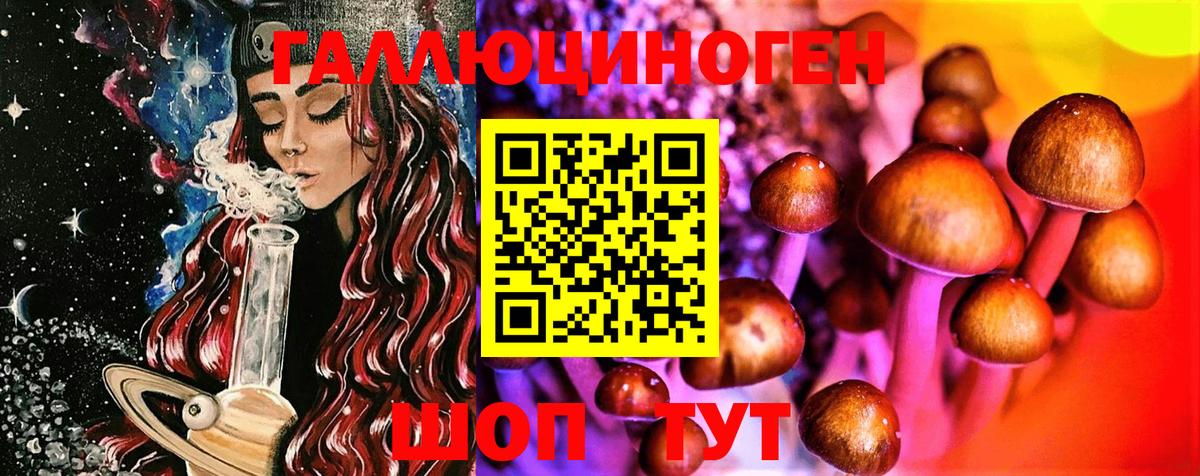 Псилоцибиновые грибы GOLDEN TEACHER  закладки  Котовск  Вход с VPN  Галлюциногенные грибы мухоморы 